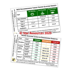 Diabetes Bloedglucosewaarden Flashcard Verpleegkundige Student Paramedicus FREC Ambulance