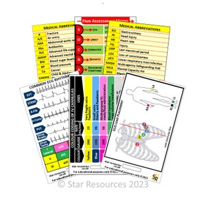 Set 2 - Patient Assessment Badge Flash Cards Student Nurses, Paramedic, Ambulance