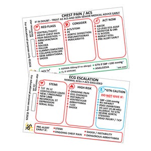 Op de afbeelding: Twee kaarten met medische informatie over pijn op de borst en ECG-escalatie. De bovenste kaart bevat rode vlaggen, overwegingen en acties. De onderste kaart behandelt STEMI, hoogrisicofactoren en GTN-waarschuwingen. Tekst bevat "ACS", "STEMI" en "SHOCK".