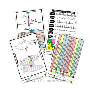 ECG ID Badge Flash Cards Student Paramedics Ambulance