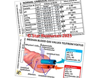 Umbilical Cord Blood Gas Values ID Badge Flash Card Nurse Maternity Midwife Student Medical