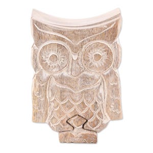 Whispers of the Night: Handcarved Owl Mystery Box