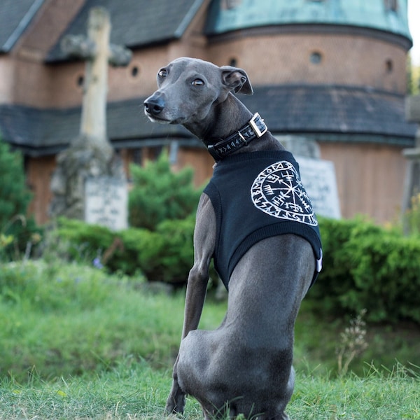 Vêtements pour lévriers italiens Vegvisir Viking / Tshirt pour lévriers italiens / Galgo Italiano / Lévriers Italiensk / Ítalskur gráhundur / Personnalisé