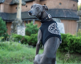 Italian Greyhound Clothing Vegvisir Viking / Italian Greyhound Tshirt /Galgo Italiano / Italiensk Greyhound / Ítalskur gráhundur / Custom