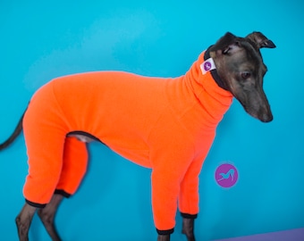 italian greyhound clothes / neon color / dog jumpsuit / jumper/ iggy clothes / dog sweater / charcik włoski /Windhund / galgo italiano