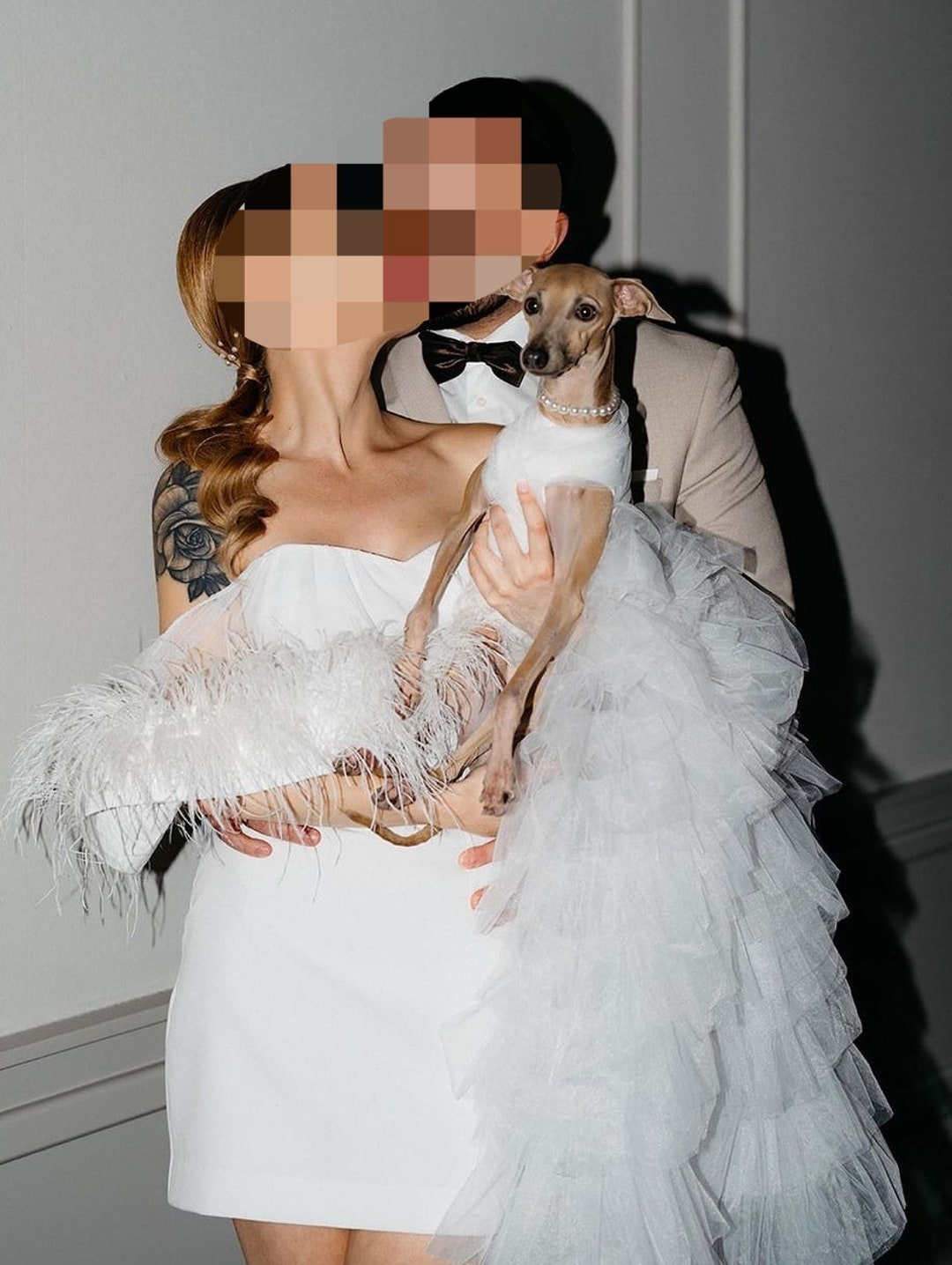 Italian Greyhound Wedding Dress / Dress for Italian Greyhound Yogadog