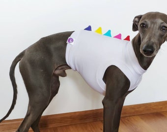 greyhound pyjamas for humans