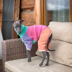 Italian Greyhound Fleece onesie / Pastelove YogaDog Wear