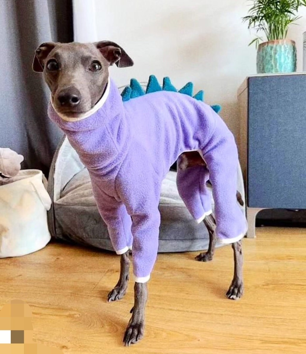 Whippet dinosaur pyjamas hotsell