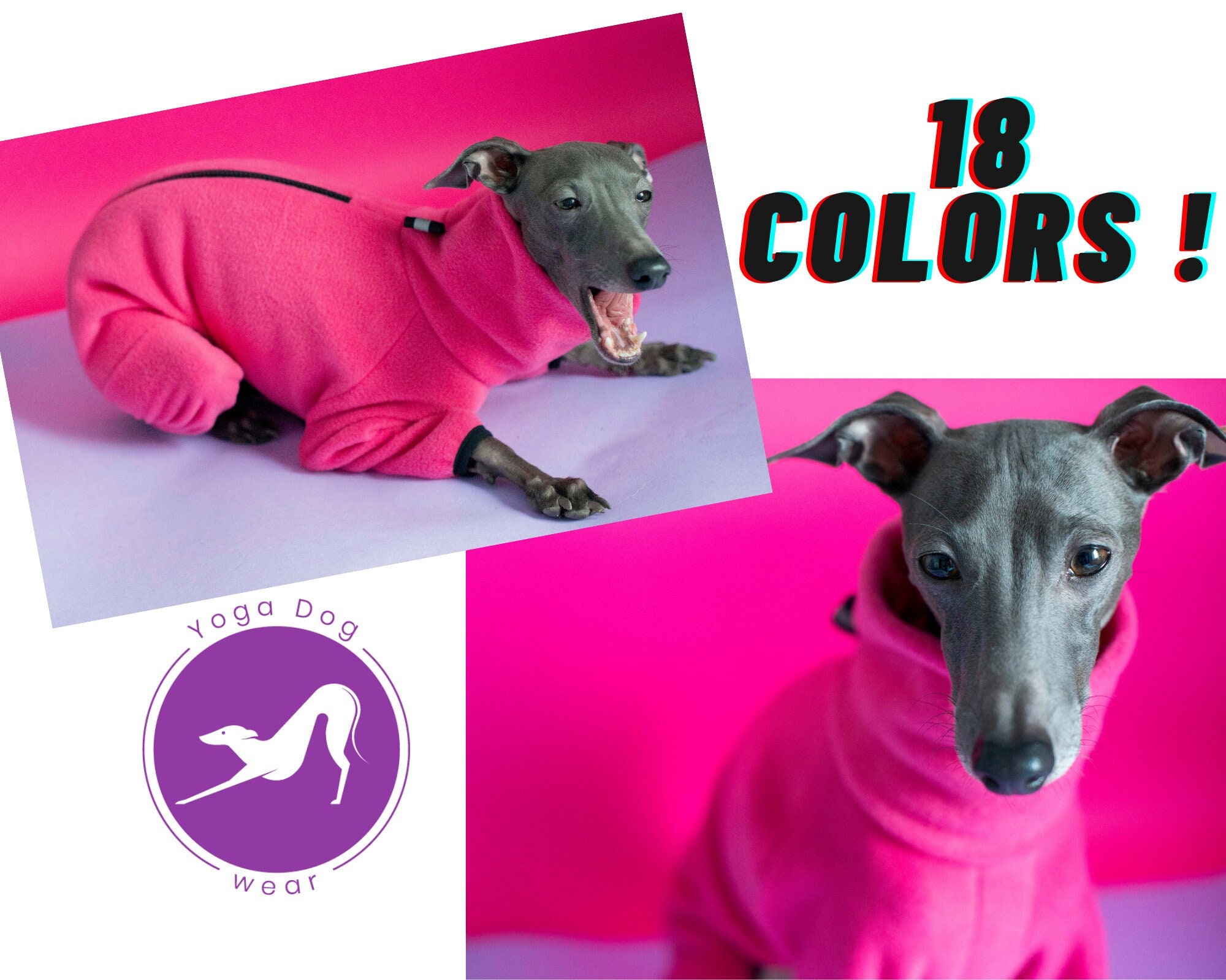 Italian Greyhound Clothing / 18 Colors / Iggy Jumper / Etsy Canada