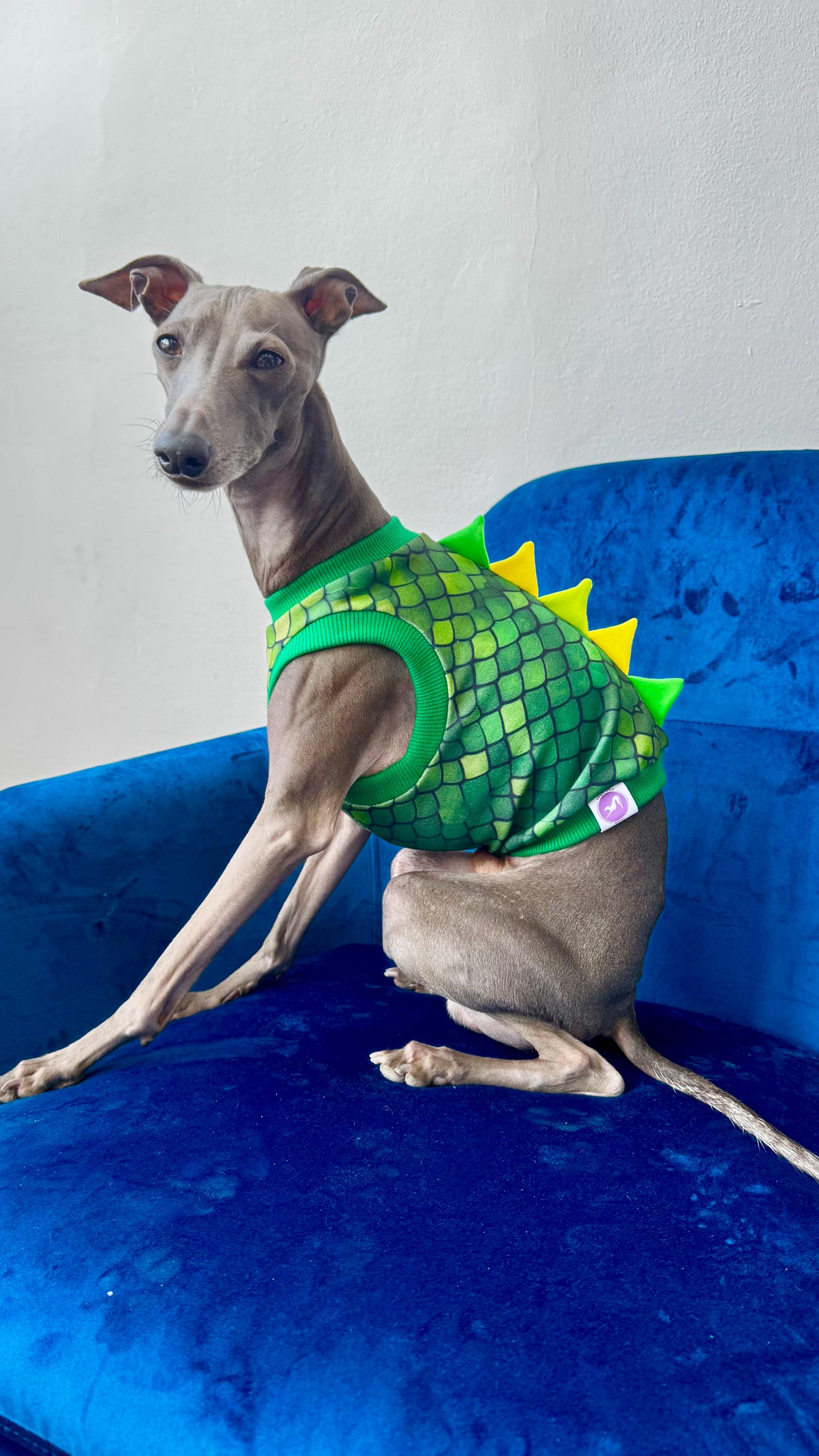 Greyhound Dragon Costume Dinosaur Dragon Italian Greyhounds Vest