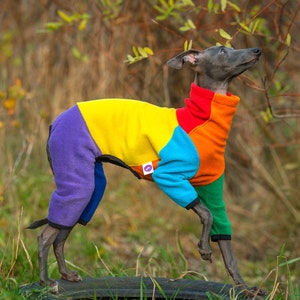 ITALIAN GREYHOUND Rainbow jumper / iggy jumper/ rainbow jumper/ iggy wear/ fleece wear