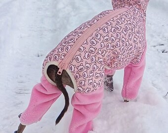 Outdoor Overalls Italian Greyhound  / Winter overalls YogaDog Wear Pink Pig Hydrophobic knit