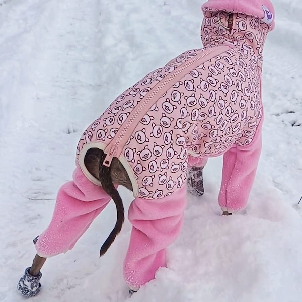 Outdoor Overalls Italian Greyhound  / Winter overalls YogaDog Wear Pink Pig Hydrophobic knit