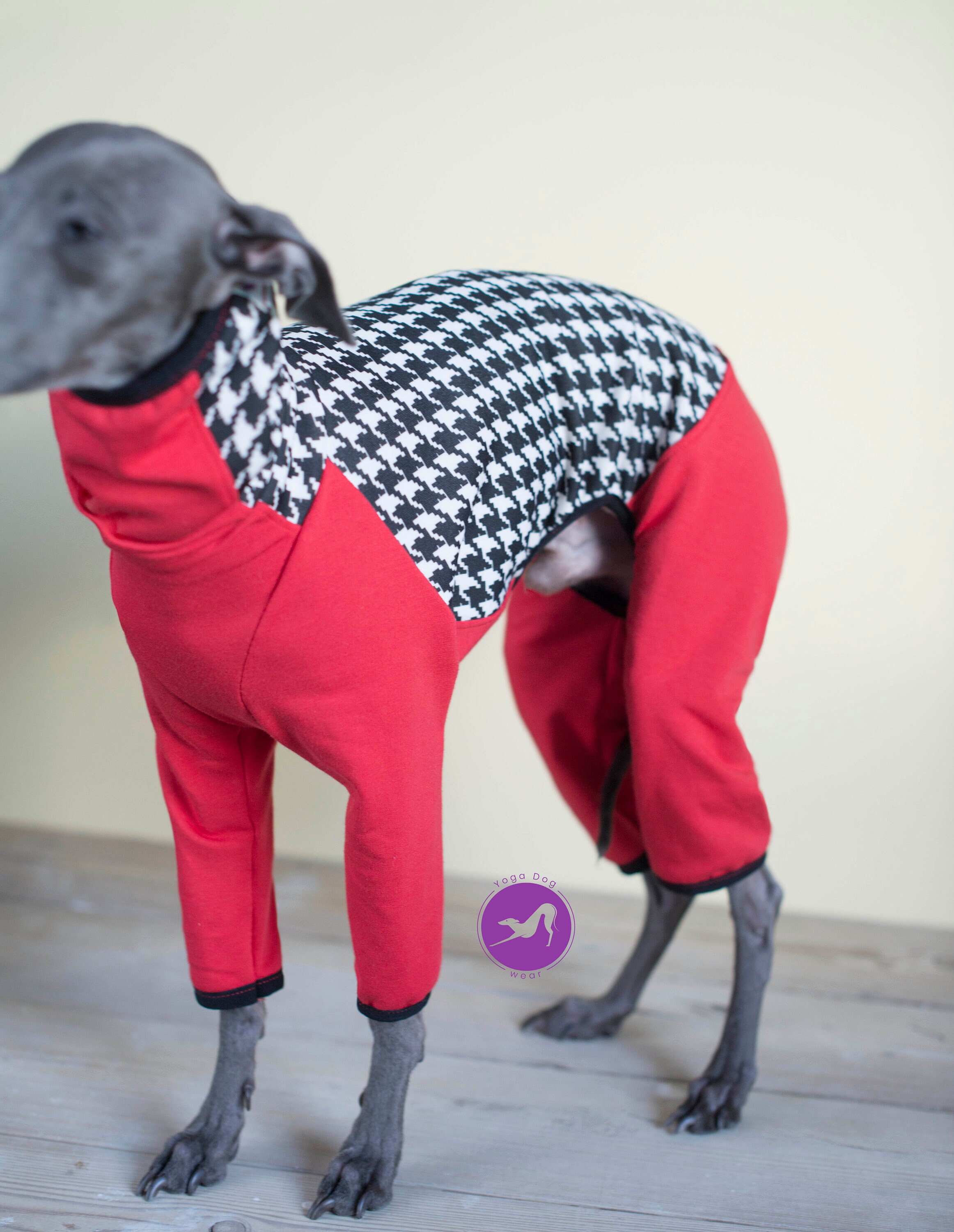 Italian greyhound clothes / dog jumpsuit / coveral/ iggy Etsy Polska