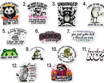 Pegatinas de vinilo sarcásticas / Calcomanías divertidas con humor para adultos / Pegatinas impermeables de estilo boutique