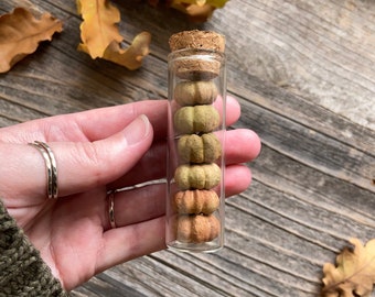 Real Putka Pods In Glass Vial