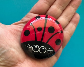 Extra large Lorybugrocks ladybug