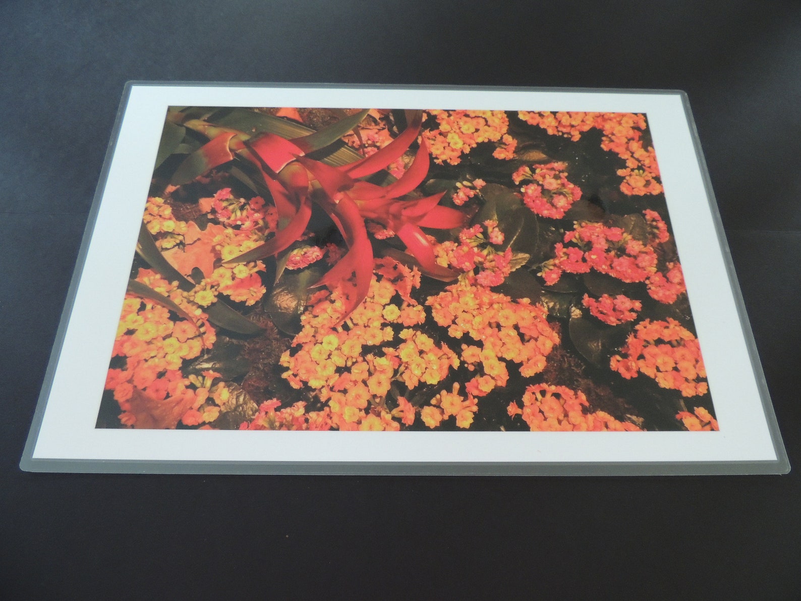 Laminated floral placemats placemats floral placemats photo Etsy