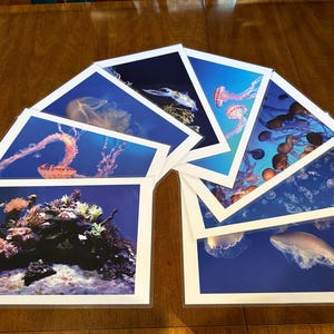 Laminated placemats, waterproof and heat resistant sea life designs, aquarium art