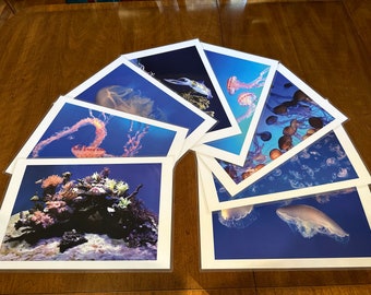 Sets de table photo étanches en plastique laminé 12 x 18 Sea Life par lot de 4, 6, 8 ; Tapis d'art aquatique méduses pour tout cadeau ou occasion.