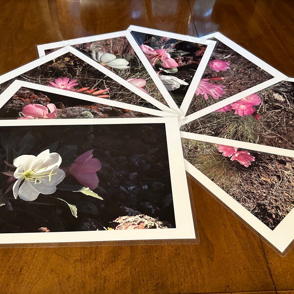 Laminated Photo Placemats Etsy