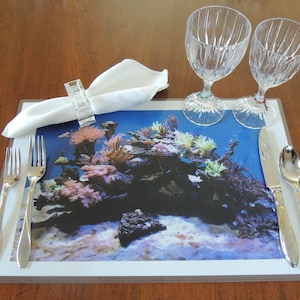 Sea life laminated plastic 12X18 waterproof photo placemats in sets of 4, 6, 8; Jellyfish water table art mats for any gift or occasion.