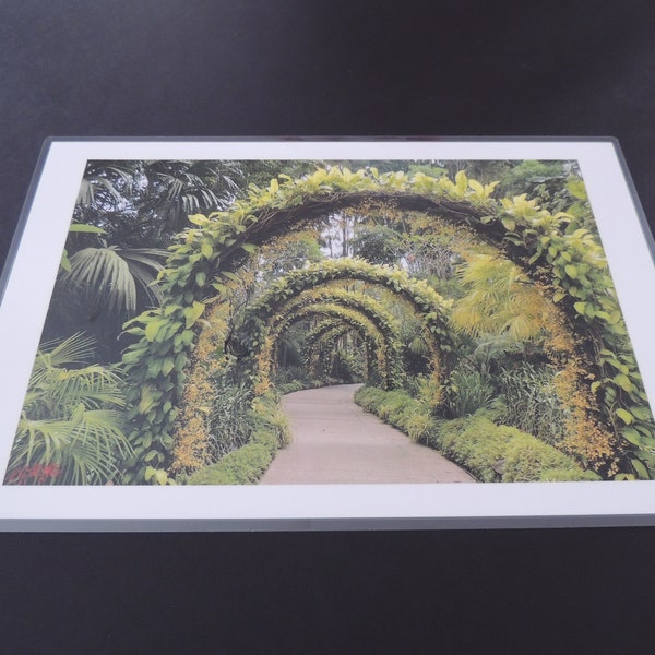 Plastic Greenery Etsy