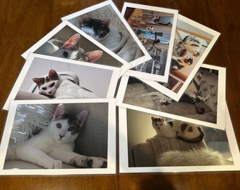 Cats laminated placemats; waterproof photo mats in sets of 4, 6, 8; original photo protected art