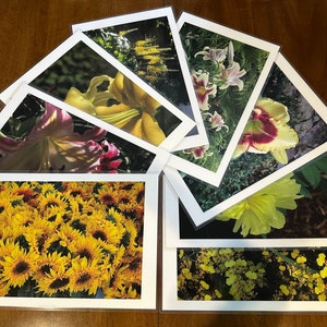 sunflower laminated placemat, lily plastic mat, waterproof 12 X18 placemat in sets of 4, 6, 8