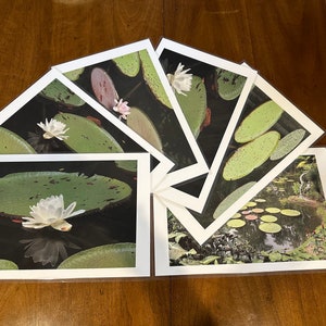 Lilypad laminated placemats, 12X18 waterproof photo mats in sets of 4, 6, photo art mats