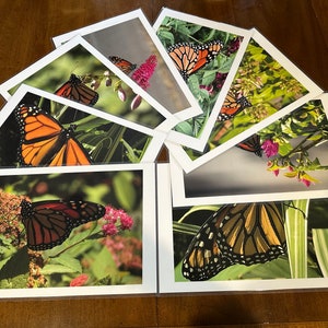 Monarch butterfly placemats, laminated photo art mats, photograph protected table, desk art