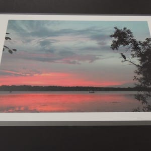 Waterfowl heron loon laminated placemats, 8 waterproof, heat resistant 12X18 photo mats; original photography mats for table, desk, cabin