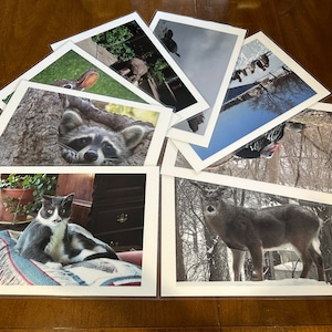 Tovagliette laminate con animali, tovagliette in plastica fotografica impermeabili, tovagliette con gatti, cani, conigli, tartarughe, cervi, tacchini, tovagliette o tovagliette impermeabili da 12X18, cameretta per bambini