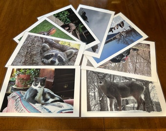 Animal laminated placemats, photo plastic waterproof mats, cat dog bunny turtle deer, turkey