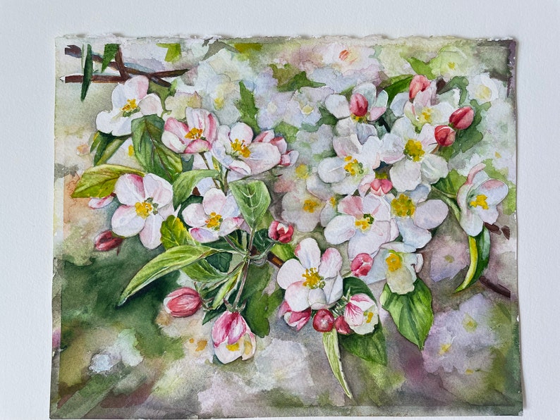Original Watercolor Painting Apple Blossom Spring Wall Decor - Etsy