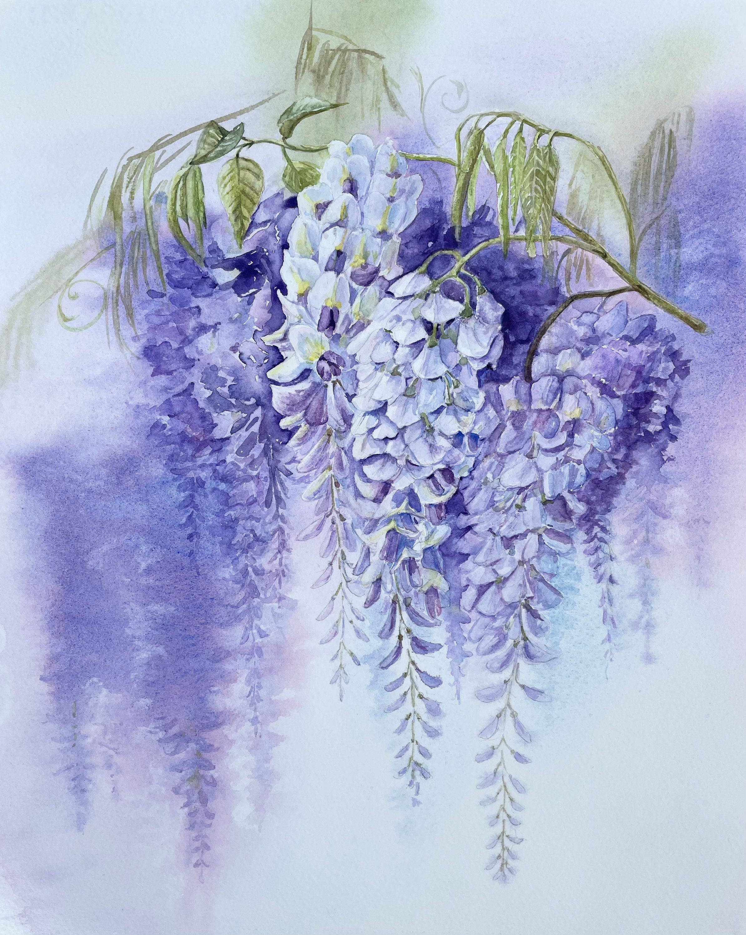 Original Watercolor Painting Wisteria Spring Blossom Art Decor Wall Decor -  Etsy