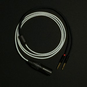 Meze / Focal / HiFiman - Dual 3.5mm Extended - Custom Headphone Cable - Authentic Lite - Silver