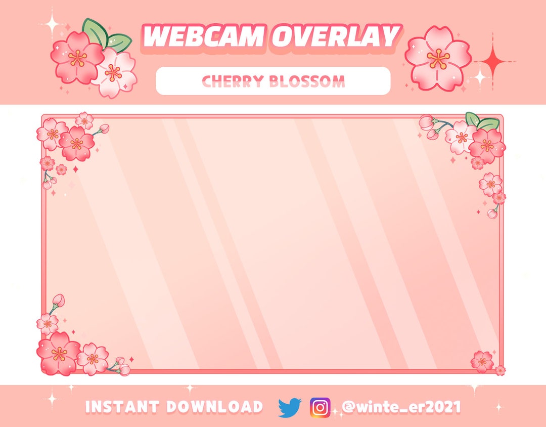 Chat Box Twitch Overlay Sakura Cherry Blossom (Download Now) 