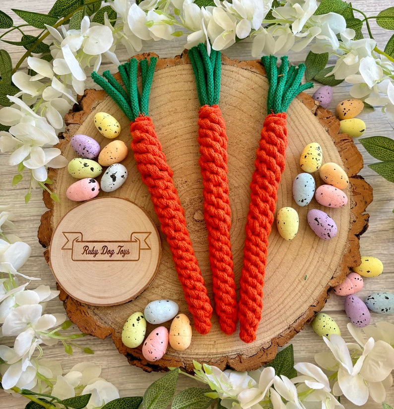 Carrot Tug Tug Toy Dog Toy Dogs Easter image 5