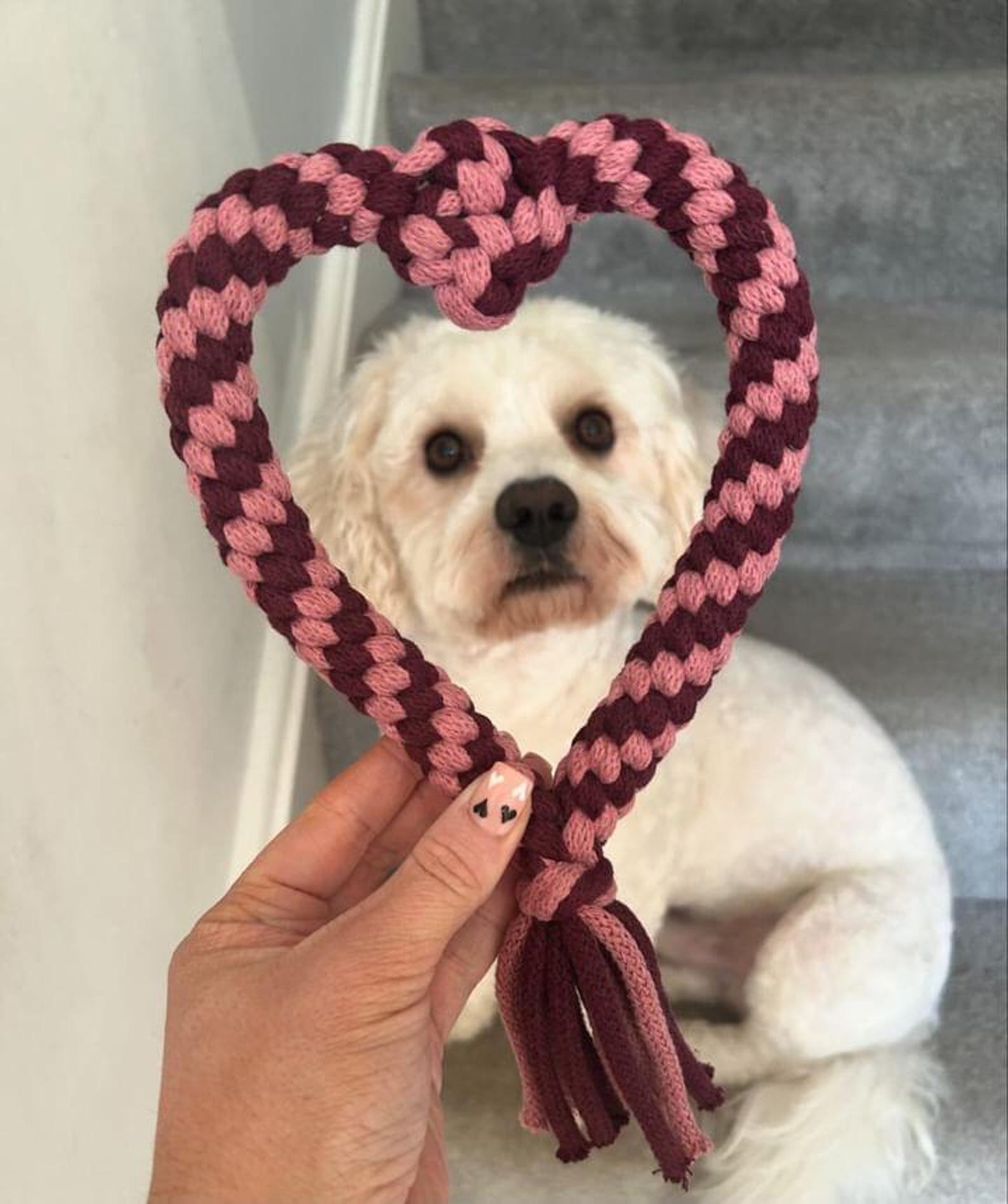Heart Tug Dog Toy