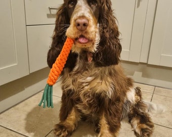 Carrot Tug | Tug Toy | Dog Toy | Dogs | Easter |