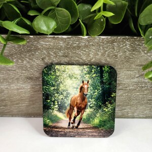Horse Lover Gift - Cute Farm Animal Magnet