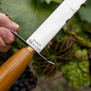 シャンパンサーベル 楽天市場】Pulltex プルテックス シャンパンサーベル TEX840WD