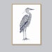 see more listings in the Birds section