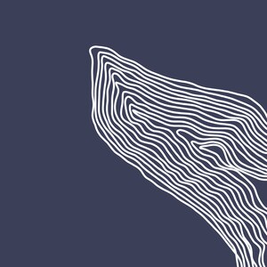 May include: Abstract line art design with white lines on a dark blue background. The lines are arranged in a wave-like pattern, creating a sense of movement and depth.