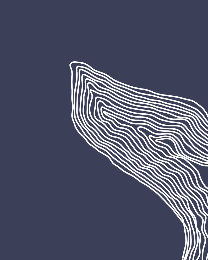 May include: Abstract line art design with white lines on a dark blue background. The lines are arranged in a wave-like pattern, creating a sense of movement and depth.