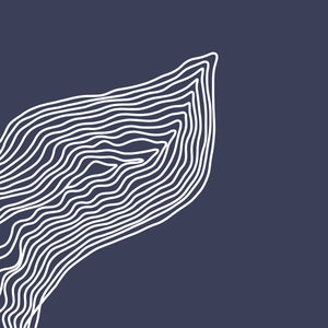 May include: Abstract white line art design on a dark blue background. The lines are curved and create a wave-like pattern.