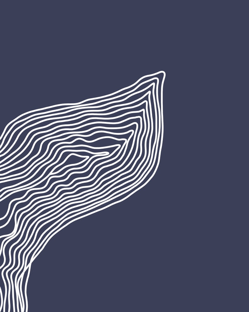May include: Abstract white line art design on a dark blue background. The lines are curved and create a wave-like pattern.
