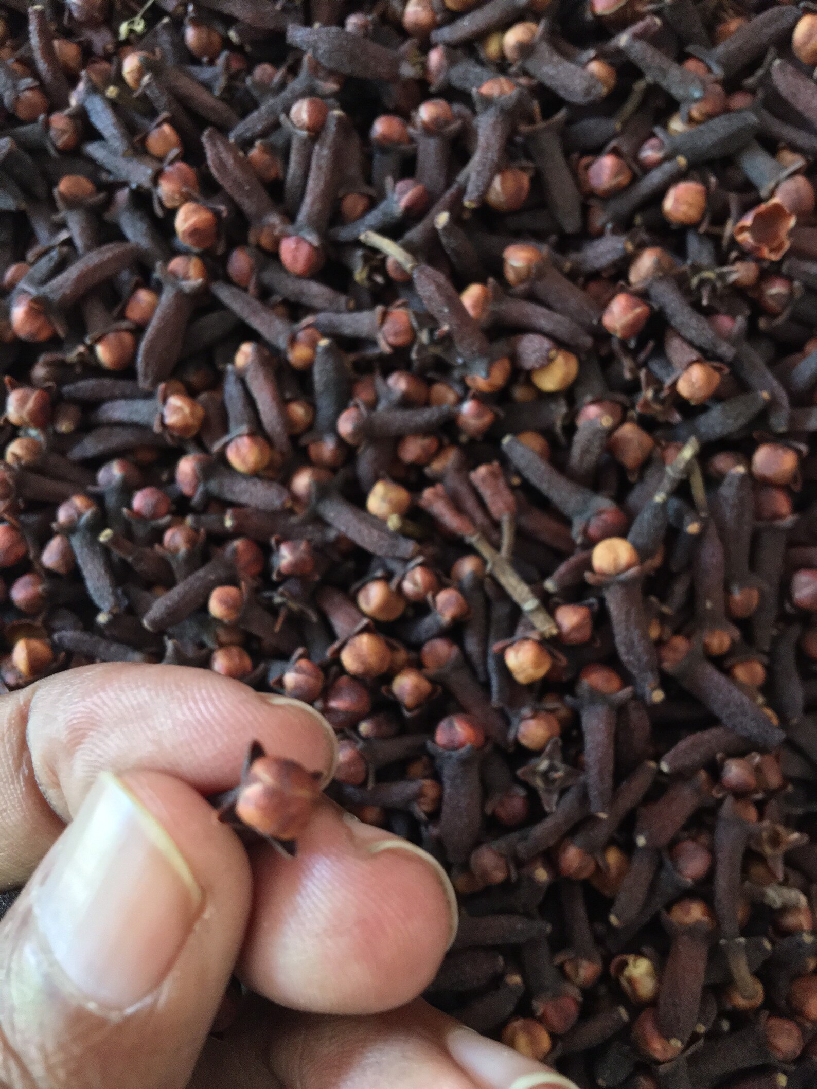 High Quality Dry Whole Cloves Etsy